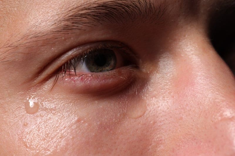 ojo seco alergia